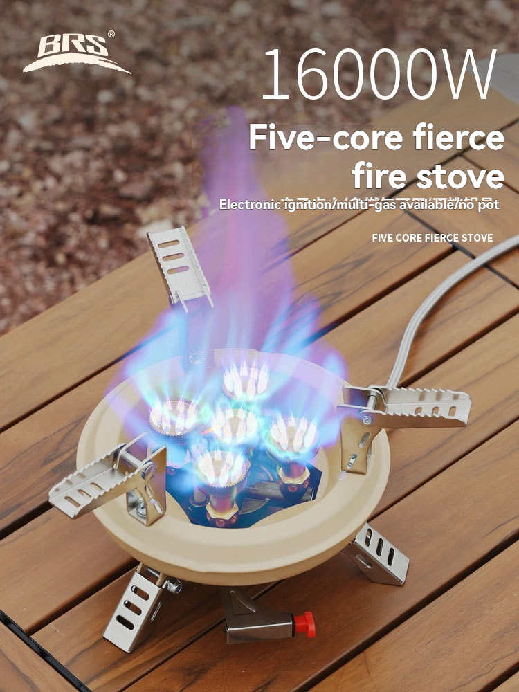BRS-201A Portable Camping Gas  - Camping Cooking Propane ulasan dan harga