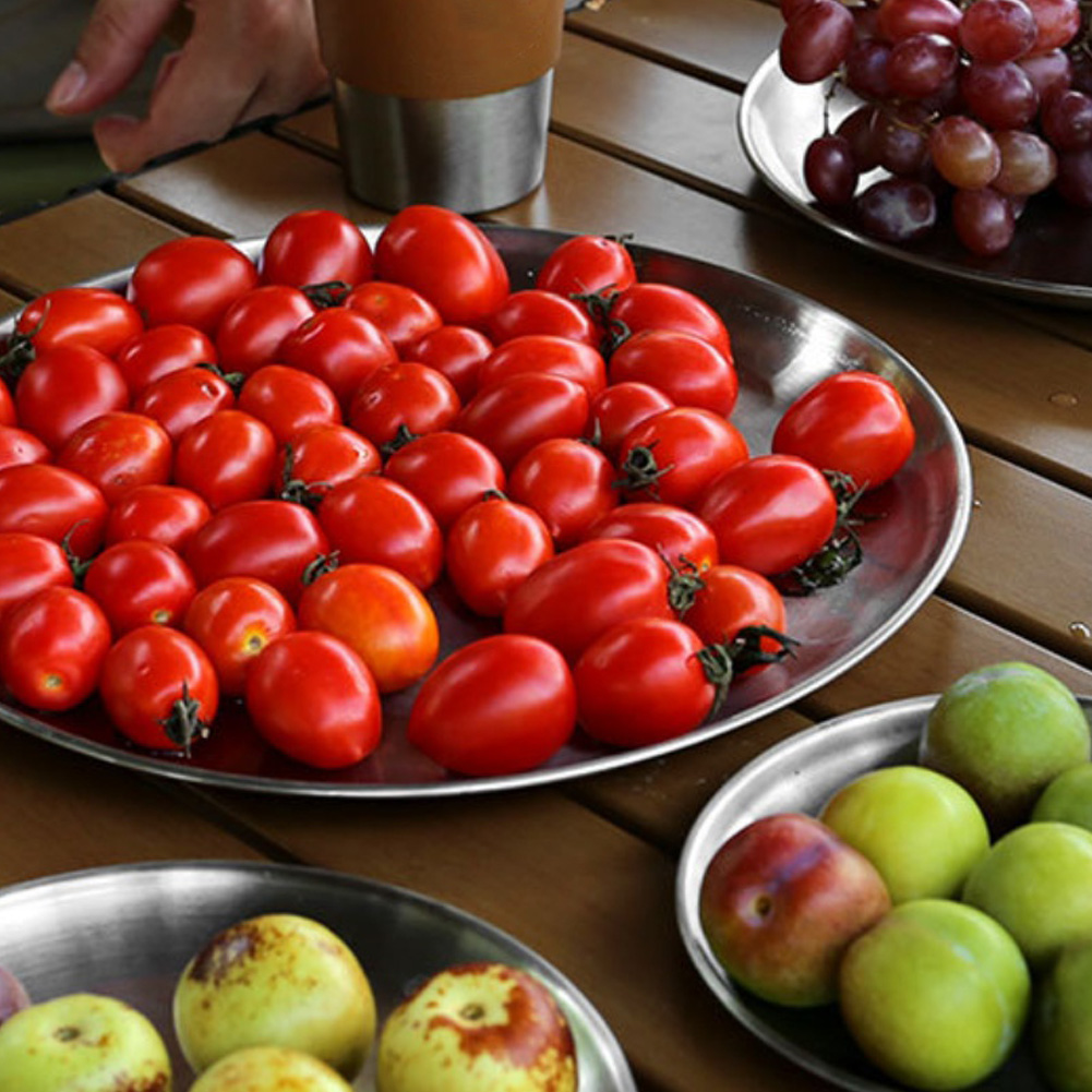 1 PCS  Stainless Steel  Plates - Camping Cooking Plate ulasan dan harga